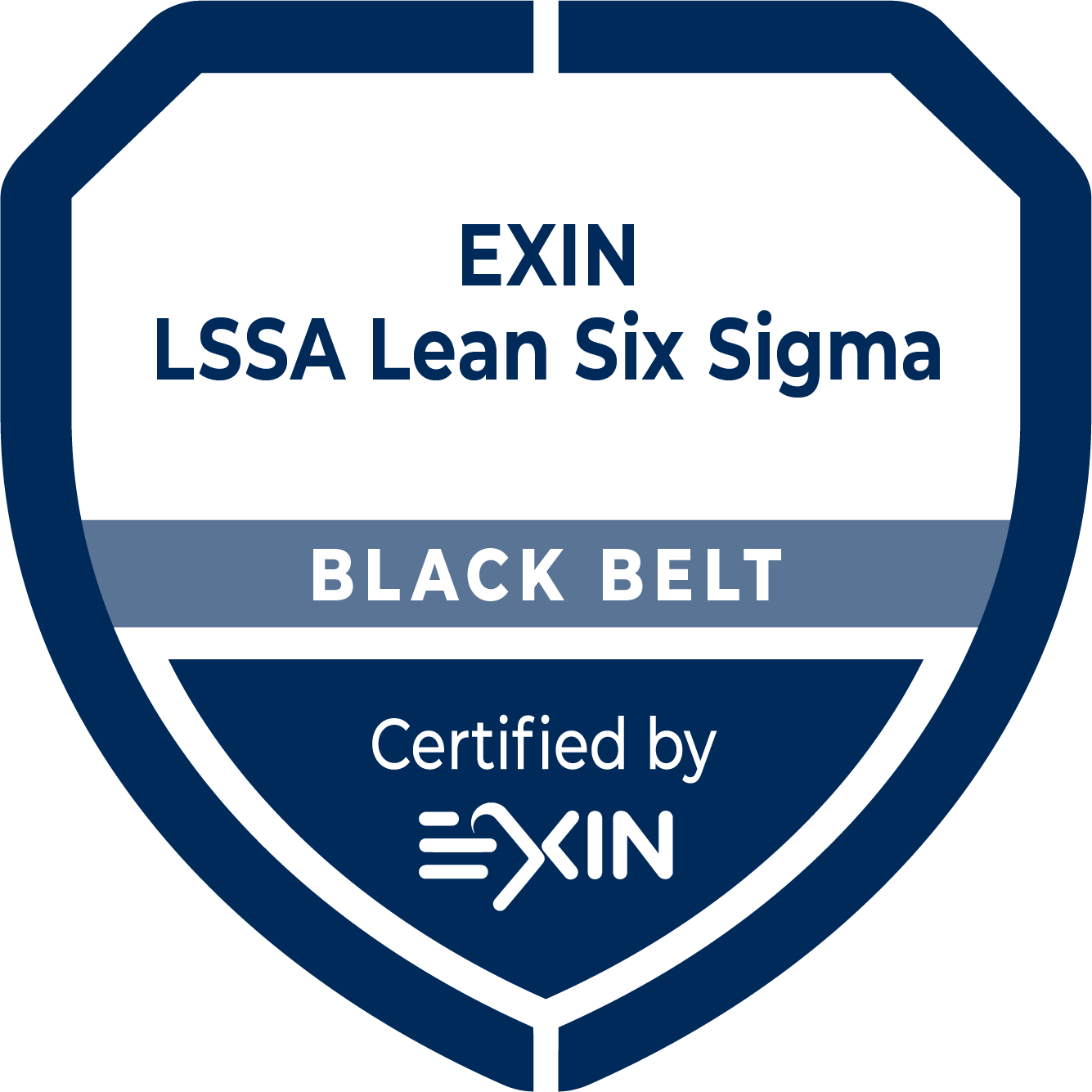 Met de EXIN LSSA Lean Six Sigma Black Belt certificering is een professiona...