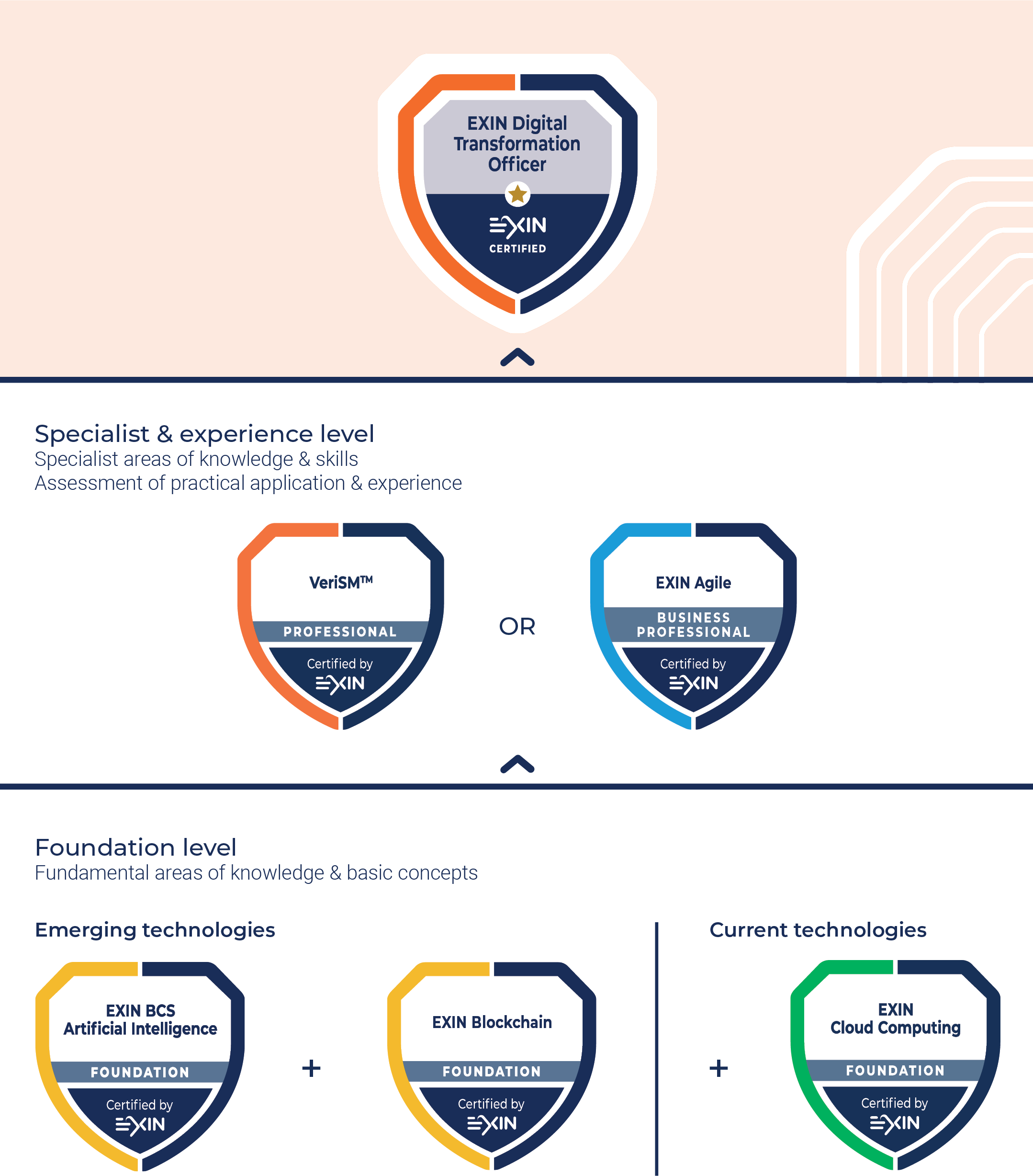 EXIN Digital Transformation Officer visual