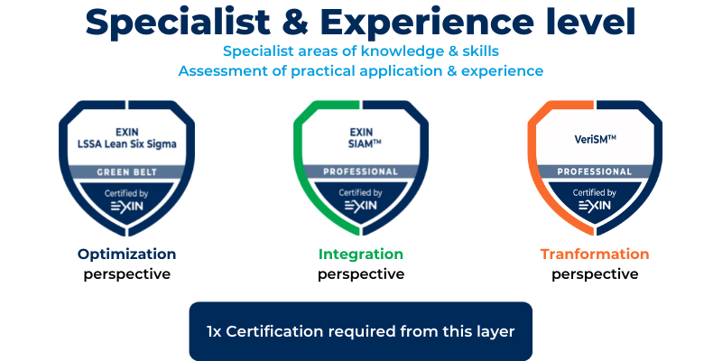 Expert level for Digital Service Manager requirements image EXIN