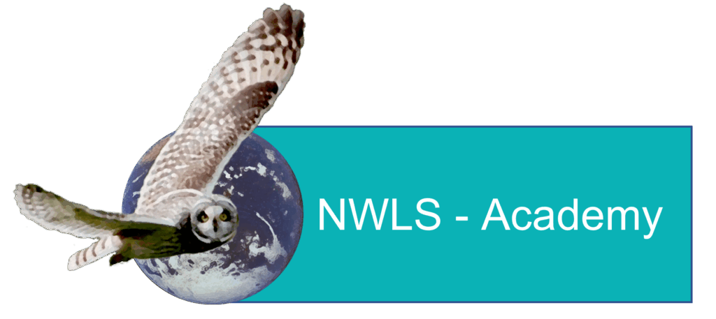 New Way Learning Services