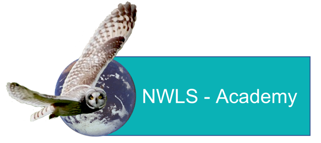 New Way Learning Services