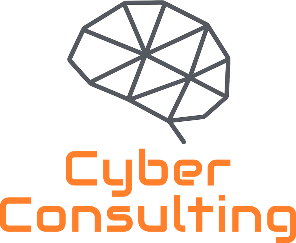 Cyber Consulting